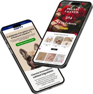 Agencia Klaviyo Partner Master Silver mostrando un diseño de email para eCommerce